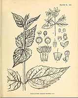  no thumbnail available