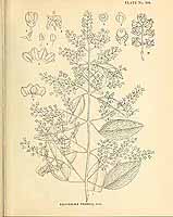  no thumbnail available