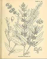  no thumbnail available