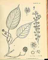  no thumbnail available