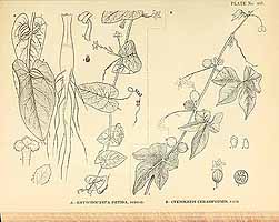  no thumbnail available