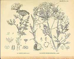  no thumbnail available