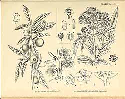  no thumbnail available