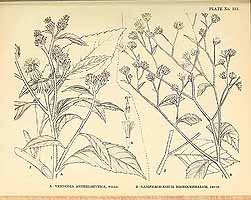  no thumbnail available