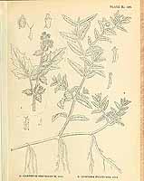  no thumbnail available