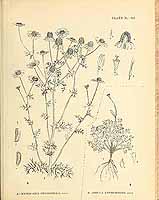  no thumbnail available