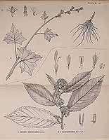  no thumbnail available