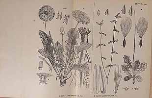  no thumbnail available