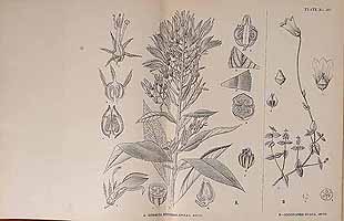  no thumbnail available