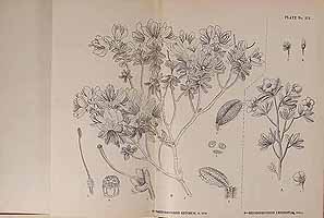  no thumbnail available