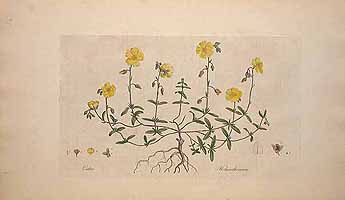  no thumbnail available