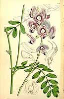  no thumbnail available