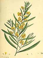  no thumbnail available