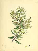  no thumbnail available