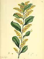  no thumbnail available