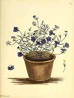  no thumbnail available