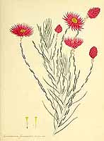  no thumbnail available