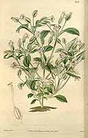  no thumbnail available