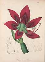  no thumbnail available