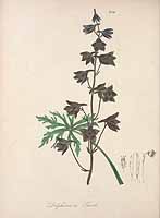  no thumbnail available