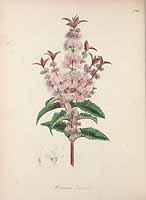  no thumbnail available