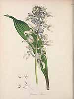  no thumbnail available