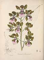  no thumbnail available