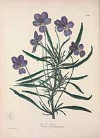  no thumbnail available