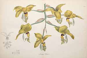  no thumbnail available