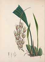  no thumbnail available