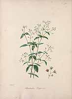  no thumbnail available