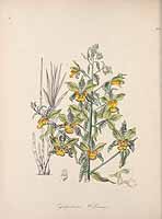  no thumbnail available