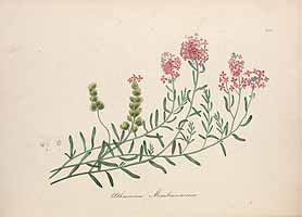  no thumbnail available