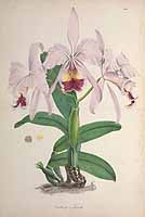  no thumbnail available