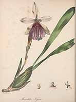  no thumbnail available