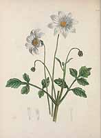  no thumbnail available