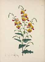  no thumbnail available