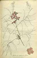  no thumbnail available