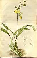  no thumbnail available