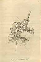  no thumbnail available