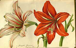  no thumbnail available