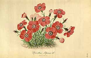  no thumbnail available