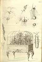  no thumbnail available