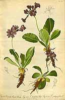  no thumbnail available