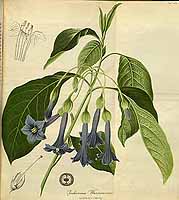  no thumbnail available