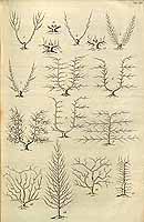  no thumbnail available