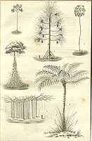  no thumbnail available