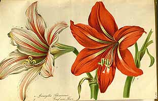  no thumbnail available