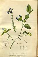  no thumbnail available