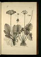  no thumbnail available